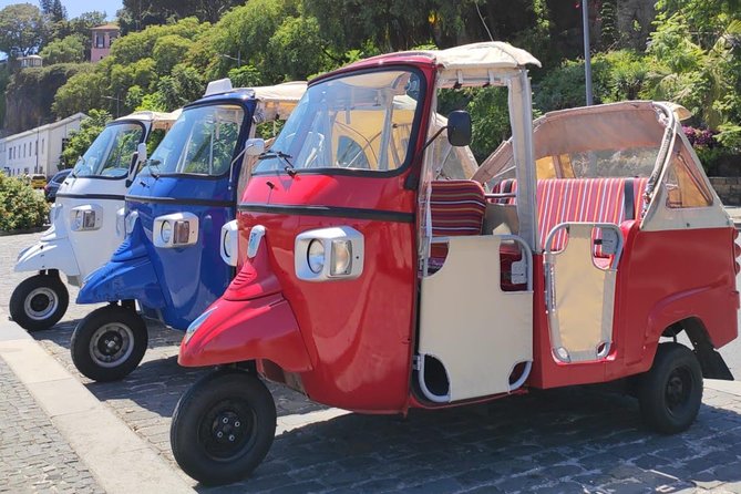 Private Tuk Tuk Tour to Old Town + Monte in Funchal - Scenic Viewpoints and Photo Opportunities
