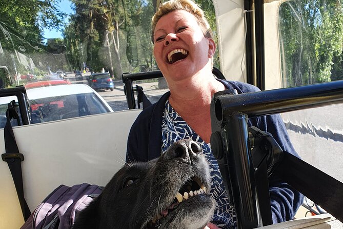 Private TukTuk guided Tour in Helsinki 2,5 hrs - Exploring Helsinki’s Historic Center and Helsinki Cathedral