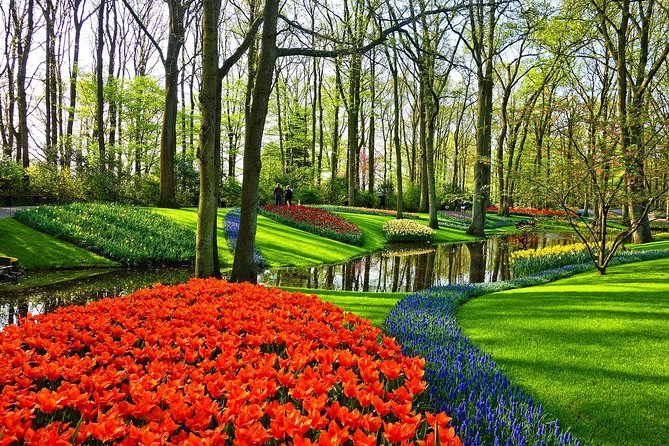 Private Tulip Fields, Windmills and Cheese Tour from Amsterdam - The Private Experience for Your Group
