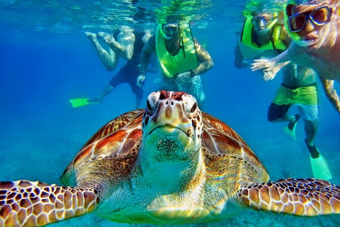 Private Tulum Mayan Ruins & Swimming with Turtles Experience - Optional Lunch and Refreshments for a Complete Day