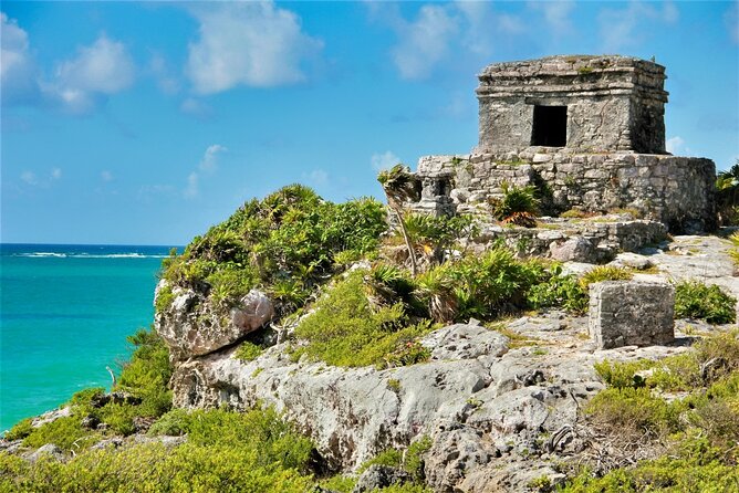Private Tulum Mayan Ruins & Swimming with Turtles Experience - Comfortable Transfers and Convenient Logistics