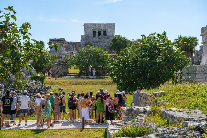 Private Tulum Ruins and Swim with Turtles - Experience the Best of Playa del Carmen with the Private Tulum Ruins and Turtle Swim Tour