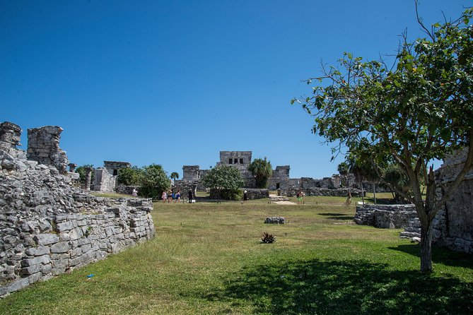 Private Tulum Ruins, Turtles in Akumal and Cenote Adventure - Who Will Love This Tour?