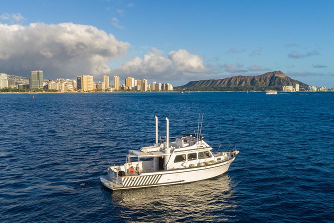 Private Turtle Canyon Snorkel Tour - Up to 6 Passengers - Departure Point at Kewalo Basin Harbor in Honolulu