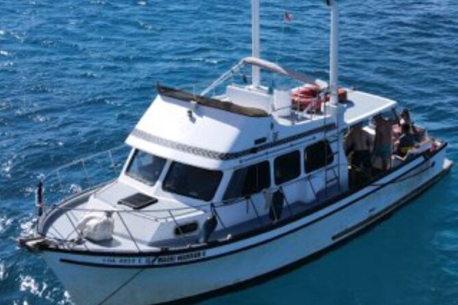 Private Turtle Canyon Snorkel Tour - Up to 6 Passengers - Weather Considerations and Cancellation Policy