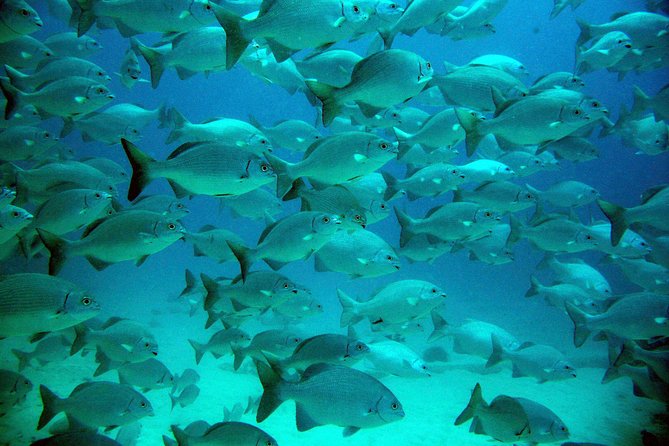 Private Turtle Discovery in Akumal - Post-Snorkeling Comfort and Facilities