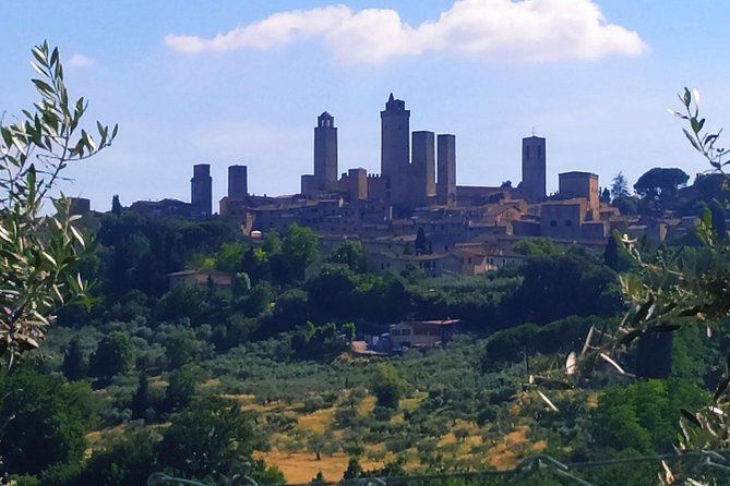 Private Tuscan Cooking Class And Wine Tasting in Radda in Chianti - The Wine and Olive Oil Tasting: An Authentic Taste of Tuscany