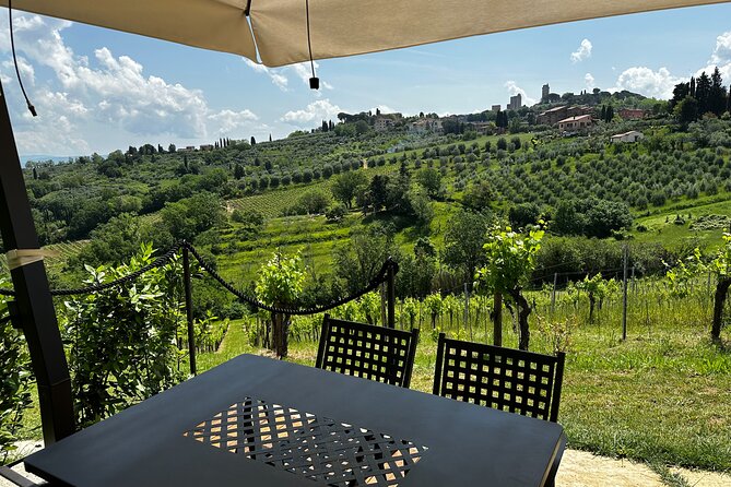 Private Tuscan Lunch with Wine & Evo oil tasting in the Vineyard - Discover a Private Tuscan Lunch with Wine & Evo Oil Tasting in San Gimignano