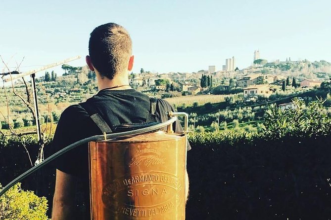 Private Tuscan Lunch with Wine & Evo oil tasting in the Vineyard - Logistics and Meeting Point Details