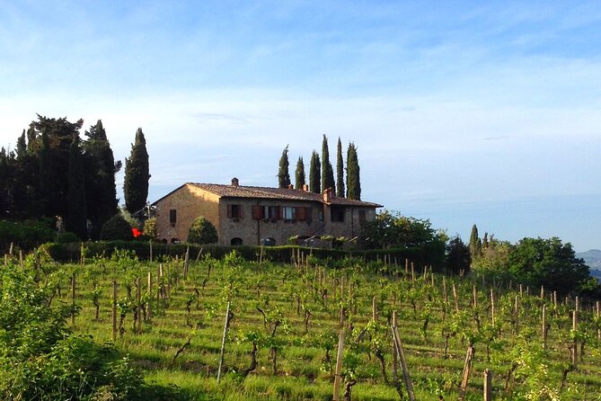 Private Tuscan meal with Wine and EVO oil tasting - The Scenic Setting and Views of San Gimignano
