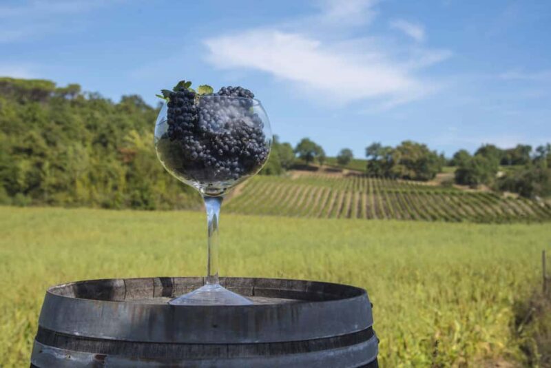 Private Tuscan Pinot Noir Tour with Lunch - Accessibility and Practical Details