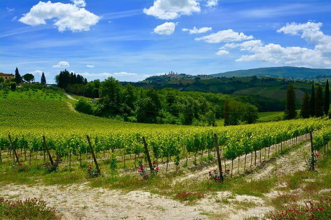 Private Tuscany Day Tour: San Gimignano and Chianti Wine Region from Florence - Logistics and Practical Details