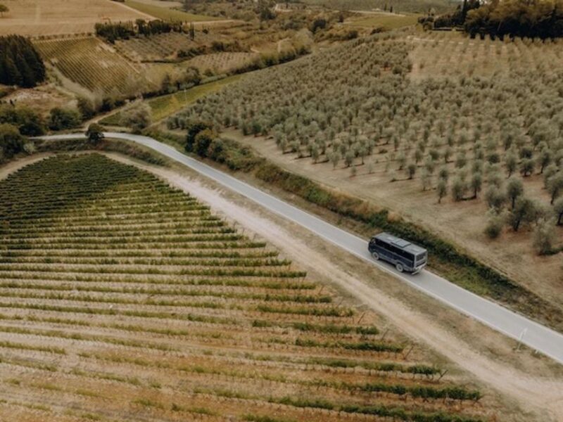 Private Tuscany Wine Tour: Chianti Wine Safari from Florence - The Value of a Private Guided Experience in Chianti