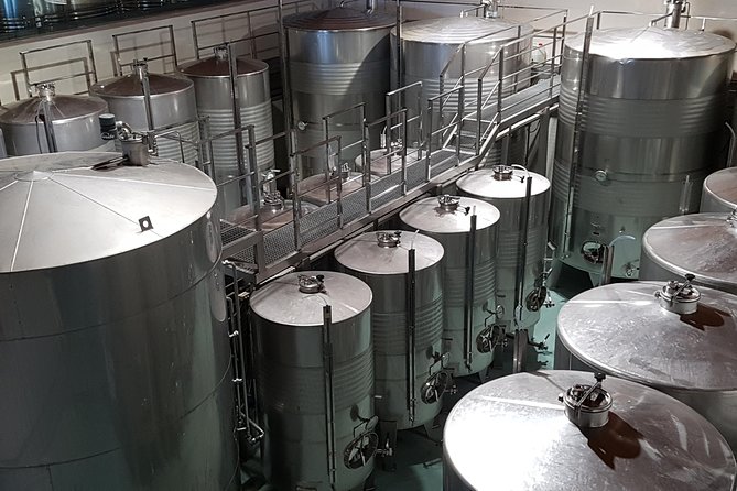 Private Txakoli Wine Tour through the Coast from San Sebastian - Practical Details: Meeting Points and Booking