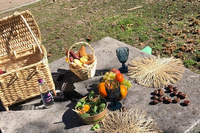 Private Typical Portuguese Picnic in Serra de Monchique - The Experience Provider: AlecrimTours