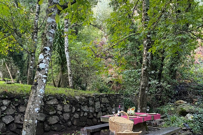 Private Typical Portuguese Picnic in Serra de Monchique - Who Will Love This Picnic Experience?