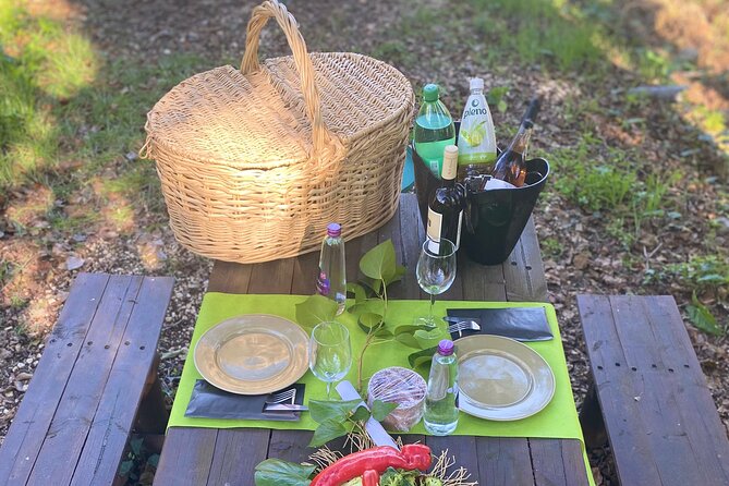 Private Typical Portuguese Picnic in Serra de Monchique - Final Thoughts on the Private Portuguese Picnic in Serra de Monchique