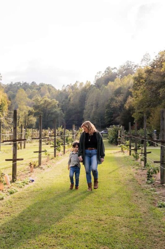 Private Vacation Photoshoot with Photographer in Honolulu - Practical Details: Meeting Point and Accessibility