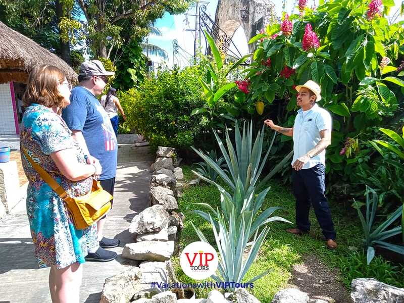 Private Van Service. Tasting the best of Cozumel - Final Thoughts on the Private Van Cozumel Tour