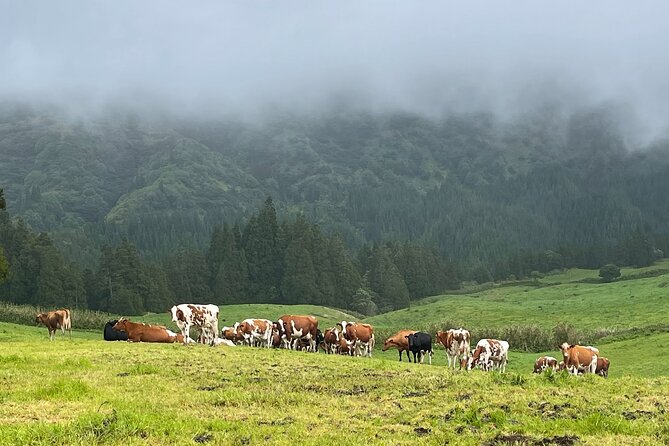 Private Van Tour Half Day Volcanic Lake Sete Cidades - Visiting the Church of São Nicolau