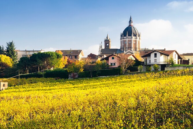 Private Vespa Tour "Among the hills of Barolo and Barbaresco" - Explore the Scenic Vineyards of Langhe on a Private Vespa Tour
