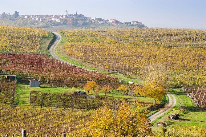 Private Vespa Tour "Among the hills of Barolo and Barbaresco" - Exploring Barbaresco: The Queen of Wines