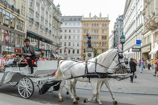 Private Vienna City Tour with Schonbrunn Palace Visit - Key Points
