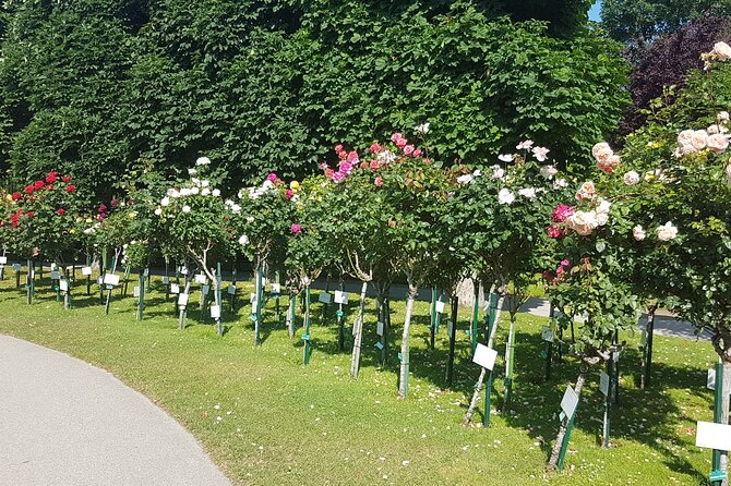 Private Vienna Sightseeing Tour matching to personal interests - The Ringstrasse Drive and Photo Opportunities