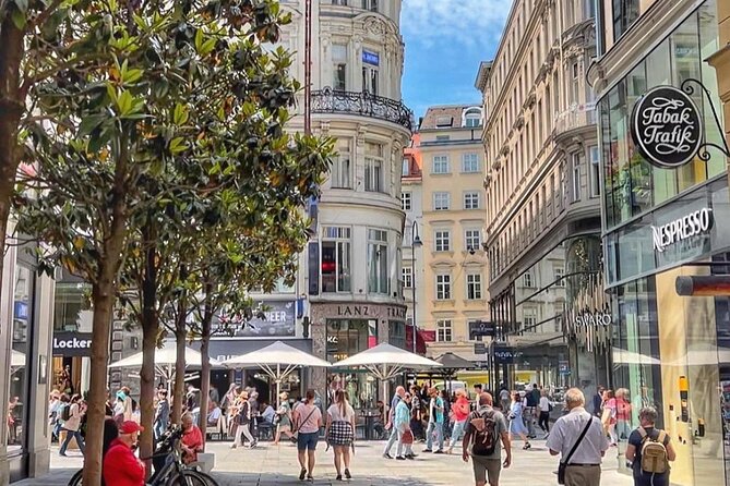 Private Vienna Walking Tour with Private Local Guide - Exploring the Hofburg Palace and Its Imperial Past