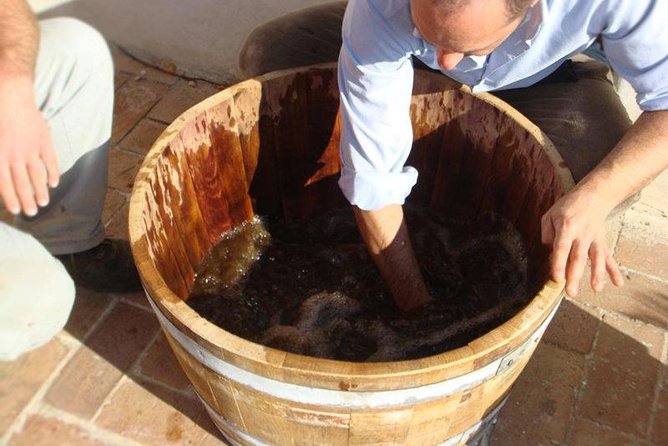 Private Vineyard Visit: Wine Tasting, Local Delicacies & Ceramics - Key Points