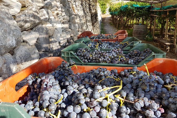 Private Vineyard Visit: Wine Tasting, Local Delicacies & Ceramics - Scenic Drive Along the Amalfi Coast Without Renting a Car