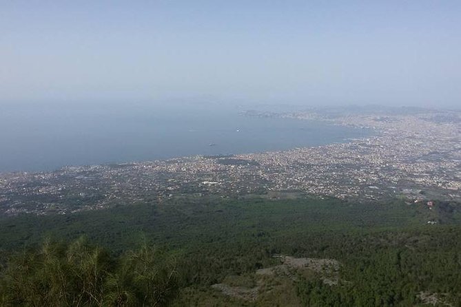 Private Vip Tour of Pompeii Day Trip From Rome - Scenic Walk Along Lungomare Caracciolo and Naples Lunch