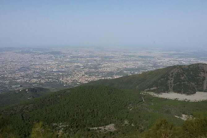 Private Vip Tour of Pompeii Day Trip From Rome - Why Choose This Private VIP Tour of Pompeii from Rome?