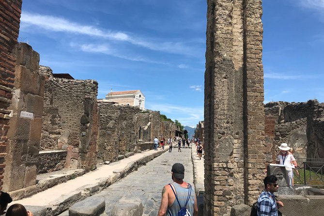 Private VIP tour to Pompeii Ruins with a Private Guide - Key Points