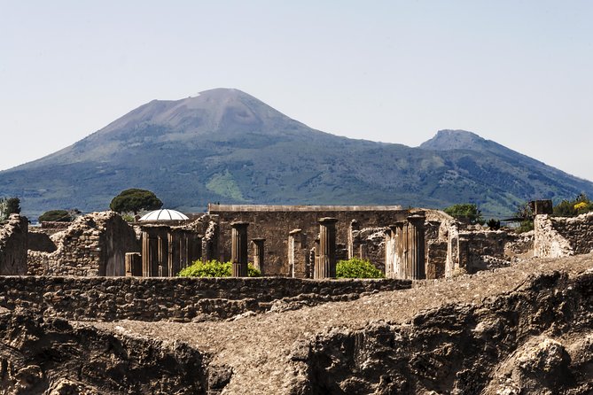 Private VIP tour to Pompeii Ruins with a Private Guide - Visiting Pompeii’s Main Attractions: What You Will See