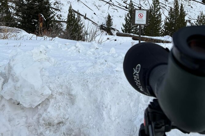 Private/VIP Wildlife Winter Safari of Yellowstone - Comfort and Convenience with Included Amenities