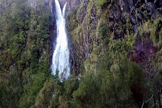 Private VipTours up to 4pax/8pax/19pax - Personalize Your Madeira Experience with a Private Guide