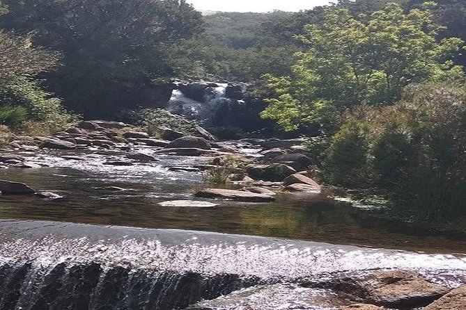 Private VipTours up to 4pax/8pax/19pax - Meeting Points and Easy Logistics