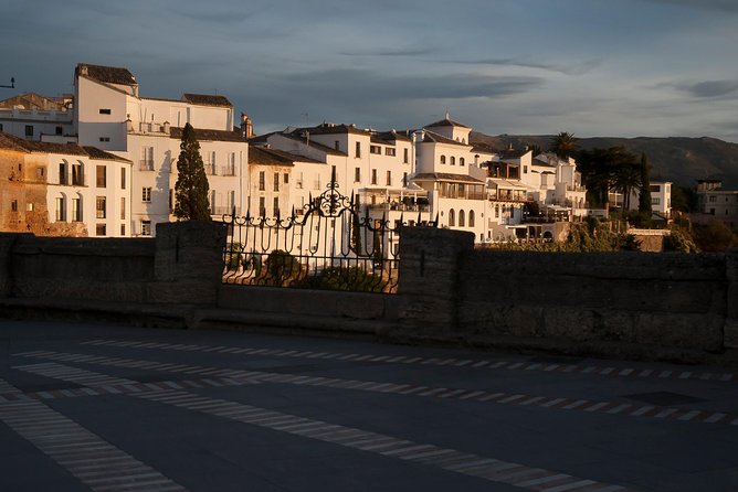 Private visit to Ronda 2 hours - The Palatial Palacio de Salvatierra