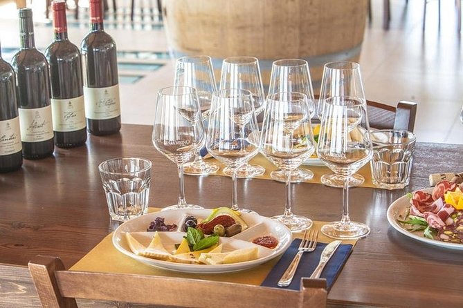 Private visit to the cellars of Etna with wine tasting - Tasting Wines on Scenic Terraces with Breathtaking Views