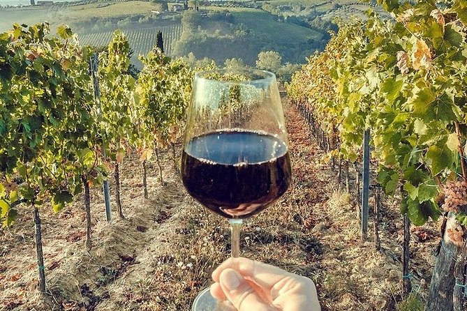 Private visit to the cellars of Etna with wine tasting - From Mount Etna to the Historic Old Towns