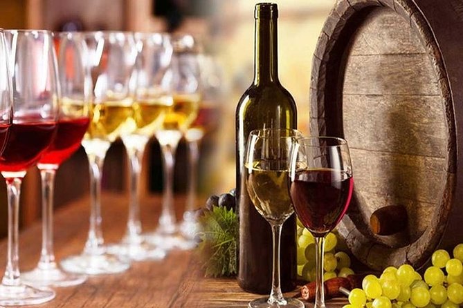 Private visit to the cellars of Etna with wine tasting - The Value of a Private, All-Inclusive Wine Tour on Etna