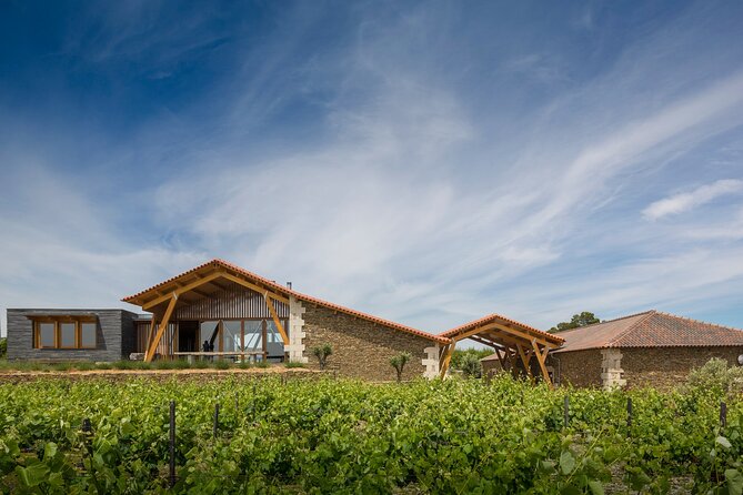Private visit with wine tasting in Alijó Douro - Tasting Lacrau and Secret Spot Wines