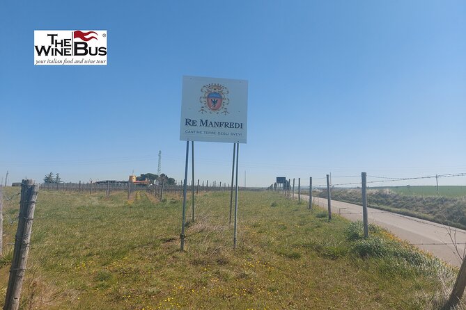 Private Vulture Wine Tour from MATERA with sommelier - Logistical Details and Accessibility