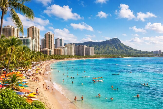 Private Waikiki Hotel Transfer Service to Airport - Seamless and Reliable Waikiki Hotel to Airport Transfer at an Honest Price