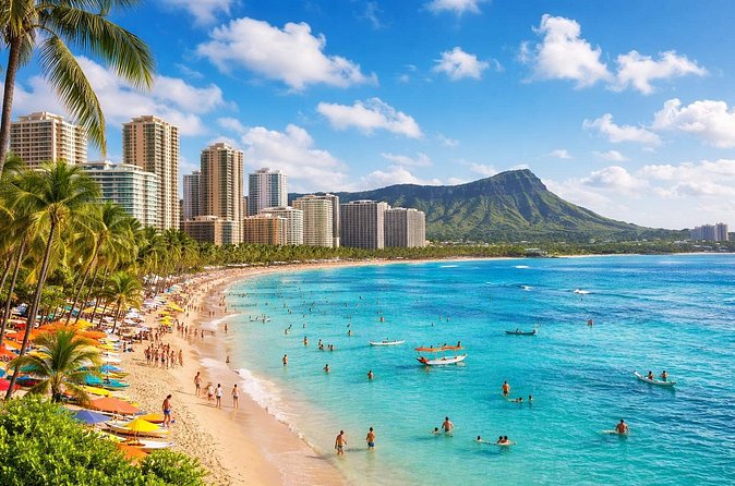 Private Waikiki Hotel Transfer Service to Airport - What Travelers Say About the Service Quality