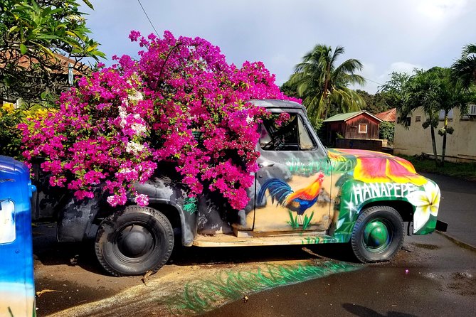 Private Waimea Canyon Tour - Locations and Landmarks: From the Coast to the Countryside