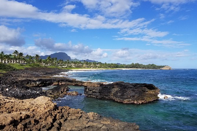 Private Waimea Canyon Tour - Transport, Group Size, and Accessibility