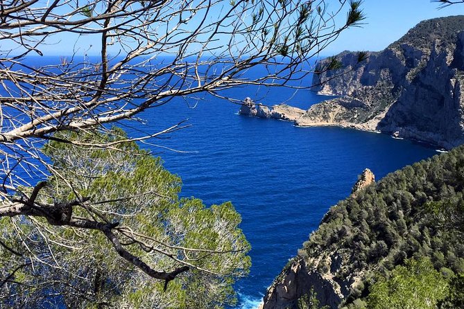 Private Walking & Hiking Experience Ibiza - The Sum Up: A Quiet Escape into Ibiza’s Natural Beauty