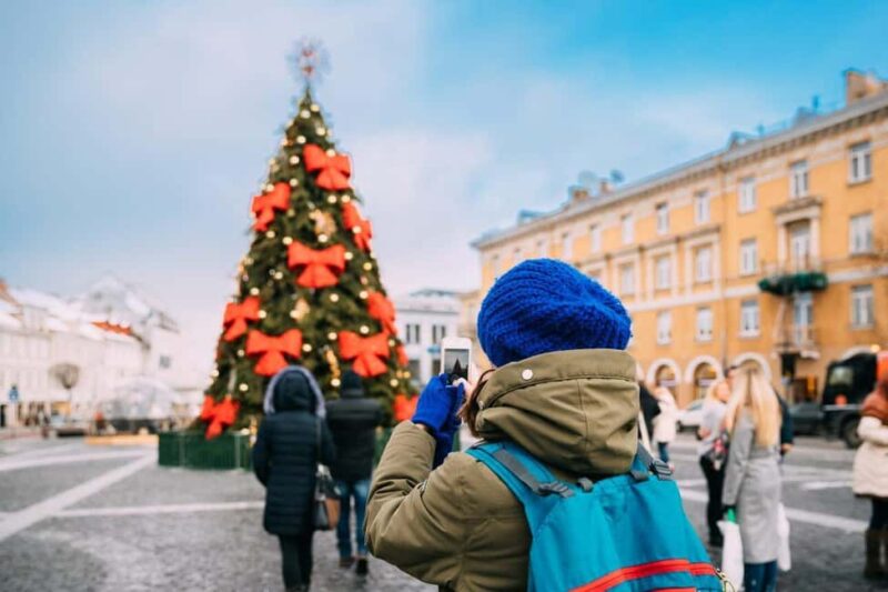 Private Walking Tour Around Vilnius During Christmas Time - Starting at Cathedral Square in Vilnius